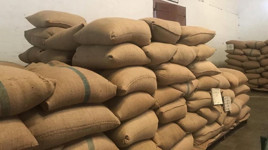 Kampoeng Kopi Banaran yang masih bertahan diantara pabrik-pabrik kopi modern yang semakin menjamur di Indonesia.