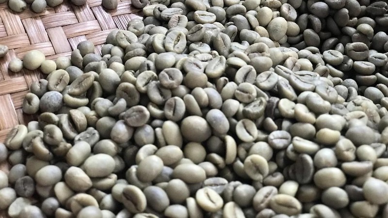 Kampoeng Kopi Banaran yang masih bertahan diantara pabrik-pabrik kopi modern yang semakin menjamur di Indonesia.