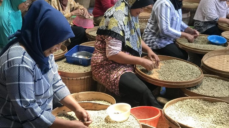 Kampoeng Kopi Banaran yang masih bertahan diantara pabrik-pabrik kopi modern yang semakin menjamur di Indonesia.