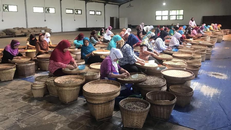 Kampoeng Kopi Banaran yang masih bertahan diantara pabrik-pabrik kopi modern yang semakin menjamur di Indonesia.