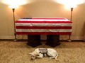 Sully, Anjing George HW Bush Setia Menjaga di Samping Peti