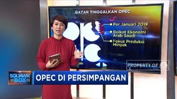 OPEC di Persimpangan