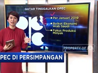 OPEC di Persimpangan