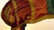 Ekonomi Sempat Ambruk, Sri Lanka Kini Buka Lebar Keran Impor