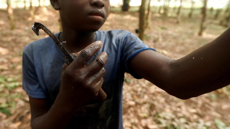 Pada 2016, Unicef memperkirakan bahwa 3,65 juta anak-anak Ghana hidup dalam kemiskinan.
