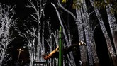 Seorang pria berolahraga dekat pohon yang dihias oleh lampu-lampu natal di taman Ibirapuera di Sao Paulo, Brasil. (REUTERS/Nacho Doce)