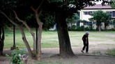 Tak cuma komplek apartemen, taman di Distrik Sennari di Sakura, Prefektur Chiba, Jepang, juga terlihat sepi dari keramaian penduduk.