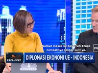 Dubes Uni Eropa: Tidak Ada Larangan Impor CPO dari Uni Eropa
