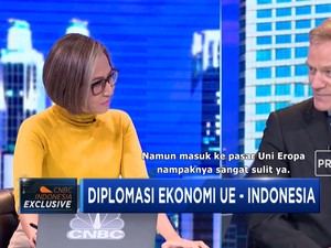 Dubes Uni Eropa: Tidak Ada Larangan Impor CPO dari Uni Eropa