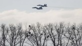 Presiden Ukraina Petro Poroshenko menyatakan jumlah pasukan Rusia di perbatasan meningkat tiga kali lipat. (REUTERS/Gleb Garanich)