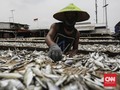 Investor Jepang Incar Perikanan Sulawesi Selatan