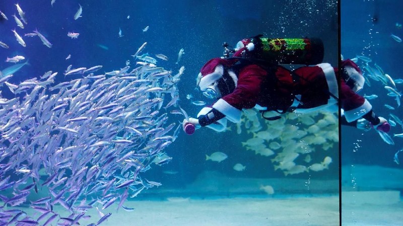 Beberapa trik bawah air ditampilkan bersama ikan-ikan yang turut menari bersama Santa Claus.