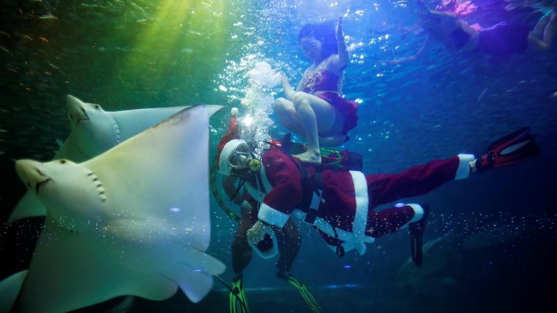 Beberapa trik bawah air ditampilkan bersama ikan-ikan yang turut menari bersama Santa Claus.