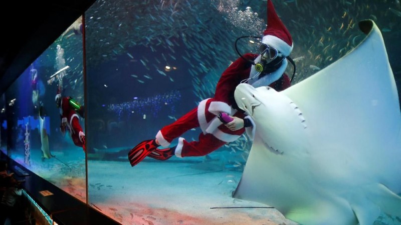 Beberapa trik bawah air ditampilkan bersama ikan-ikan yang turut menari bersama Santa Claus.