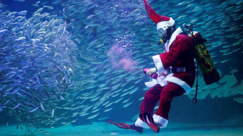 Beberapa trik bawah air ditampilkan bersama ikan-ikan yang turut menari bersama Santa Claus.