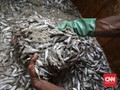 Bahaya Kesehatan di Balik Gurih Ikan Asin