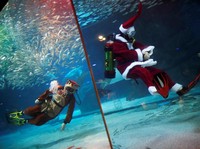 Indahnya Pertunjukan Bawah Air Bersama Mr Santa Claus!