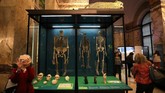 Tengkorak-tengkorak turut menjadi koleksi Museum Afrika, mengingatkan publik pada penjajahan dan berbagai tindak rasisme yang menimpa orang Afrika selama berpuluh-puluh tahun. (REUTERS/Yves Herman)