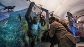 Museum Afrika ini dipenuhi artefak dan hewan-hewan seperti gorila di atas, kerap dikritik karena mengabaikan kebrutalan Raja Leopold II kala memerintah Kongo yang mengakibatkan kematian jutaan penduduk sipil. (REUTERS/Yves Herman)