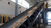 Di pabrik pengolahan limbah Shandong Qiaobin Agricultural Technology Co, di Jinan, Shandong Timur, satu miliar kecoak diberi makan 50 ton sampah dapur setiap harinya. (REUTERS/Thomas Suen)