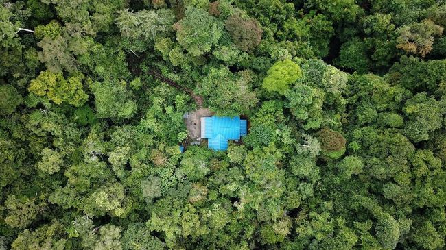 Wacana Berwisata dalam Kawasan Konservasi di Riau