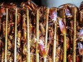 FOTO: Bisnis Kecoak Penghancur Limbah di China