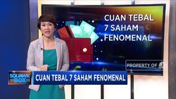 Cuan Tebal 7 Saham Fenomenal