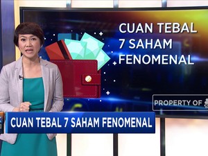 Cuan Tebal 7 Saham Fenomenal