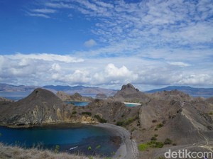 Bupati Sebut Penutupan TN Komodo Tidak Efektif