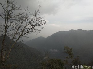Terkuaknya Misteri Pemetik Kopi yang Hilang Sepekan di Gunung Burangrang