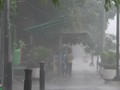 VIDEO: Cuaca Ekstrem, Bogor Waspada Puting Beliung