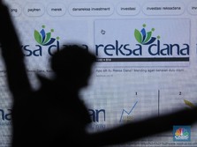 Ntap! Ini Produk Reksa Dana Paling Cuan, Ada Punya Anda?