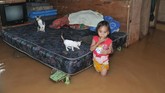 Seorang anak berada di dalam rumahnya yang terendam banjir di Kota Baru, Jambi, Minggu (9/12). Puluhan rumah, sekolah, dan beberapa titik jalan di kota itu terendam akibat meluapnya beberapa anak sungai setelah hujan mengguyur daerah itu selama beberapa jam. (ANTARA FOTO/Wahdi Septiawan/foc).