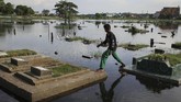 Seorang anak beraktivitas di area makam yang terendam banjir di TPU Semper, Jakarta, Rabu (5/12). Pemprov DKI Jakarta berencana meninggikan kompleks makam tersebut secara bertahap karena setiap musim hujan daerah itu terendam banjir seiring naiknya curah hujan. (ANTARA FOTO/Dhemas Reviyanto/aww).