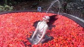 Seorang peserta dikelilingi oleh cabai merah, ambil bagian alam kompetisi makan cabai di pemandian air panas di Yichun, Provinsi Jiangxi, China. (Chen Fei/CNS)