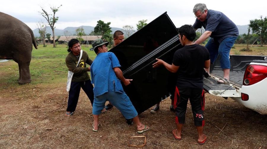 Hampir 80 persen dari sekitar 3.000 gajah di tempat-tempat wisata di Thailand, Kamboja, India, Laos, Nepal dan Sri Lanka, menanggung kondisi hidup yang buruk.