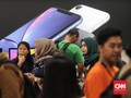 Apple Disebut Segera Buka Inden iPhone 'Murah'