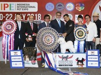 Analis Ini Punya Anjing Lucu yang Siap Go-Internasional