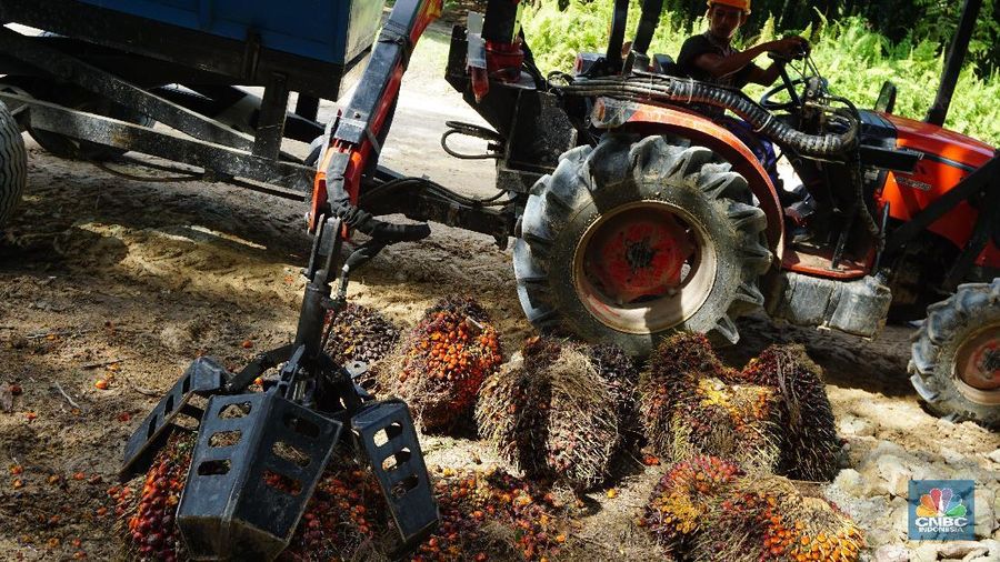 Pada penutupan perdagangan kemarin (9/1/2019), harga minyak kelapa sawit mentah (CPO)  ditutup menguat 0,18% ke posisi MYR 2.182/ton.