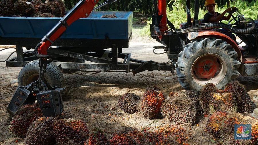 Hari ini (3/1/2019) harga minyak kelapa sawit mentah (CPO) di Bursa Derivatif Malaysia ditutup melemah 0,69% secara harian di posisi MYR 2.151/ton.