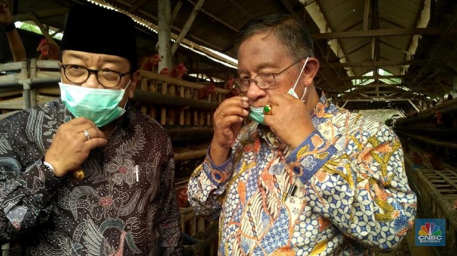 Peternak dari Blitar diketahui memang yang paling keras bersuara mengenai pasokan jagung, hingga membuat pemerintah menerbitkan izin impor komoditas itu.