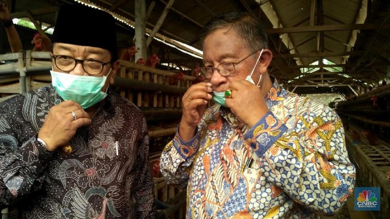 Peternak dari Blitar diketahui memang yang paling keras bersuara mengenai pasokan jagung, hingga membuat pemerintah menerbitkan izin impor komoditas itu.