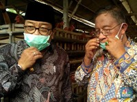 Di Blitar, Darmin Terima Curhatan Para Peternak Ayam