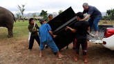 Relawan asal Inggris Paul Barton (57) tergerak untuk memberikan terapi musik pada gajah yang sakit dan kelelahan di perbatasan Thailand-Myanmar, tepatnya Kanchanaburi, Thailand, dengan menggunakan pianonya. (REUTERS/Soe Zeya Tun)