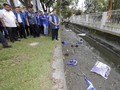 Bawaslu Telusuri Pelanggaran Pemilu di Kasus Bendera Demokrat