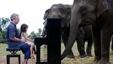 Beberapa kali dalam seminggu, Paul, yang merupakan pianis klasik, memainkan piano untuk memberi ketenangan jiwa kepada para gajah.(REUTERS/Soe Zeya Tun)