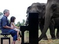 FOTO: Saat Gajah Ikut Nikmati Musik Klasik