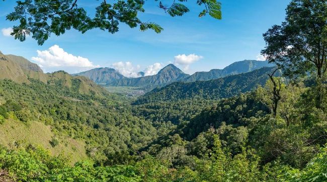 Warisan Jepang Di Jalur Hutan Pusuk