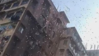 Lelaki Hong Kong Ditangkap Gara-gara Bikin Hujan Uang