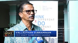 Rokok Ilegal Ditekan di 2019, SSMS Anggarkan Capex Rp600 M